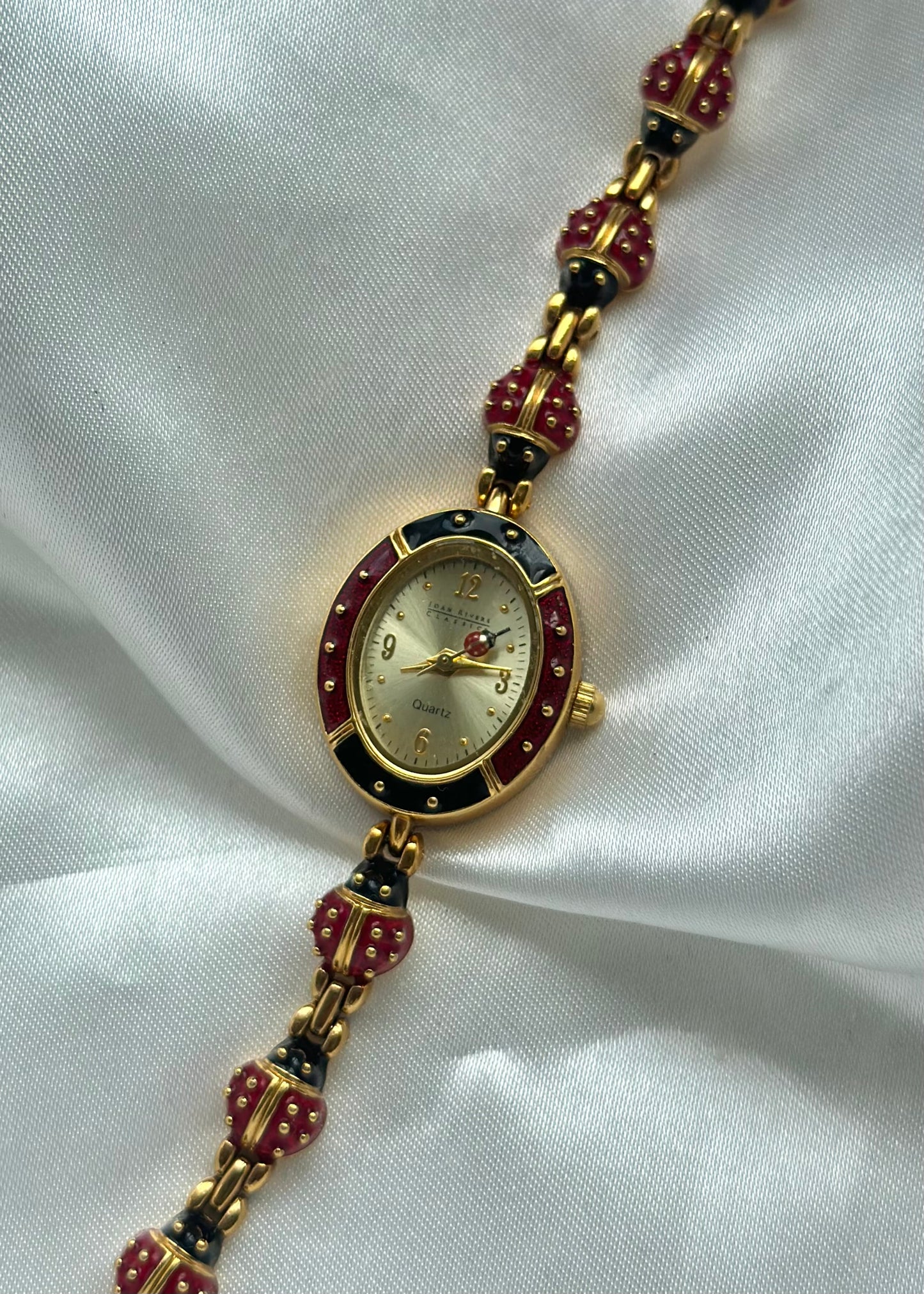 Rare Ladybug Watch