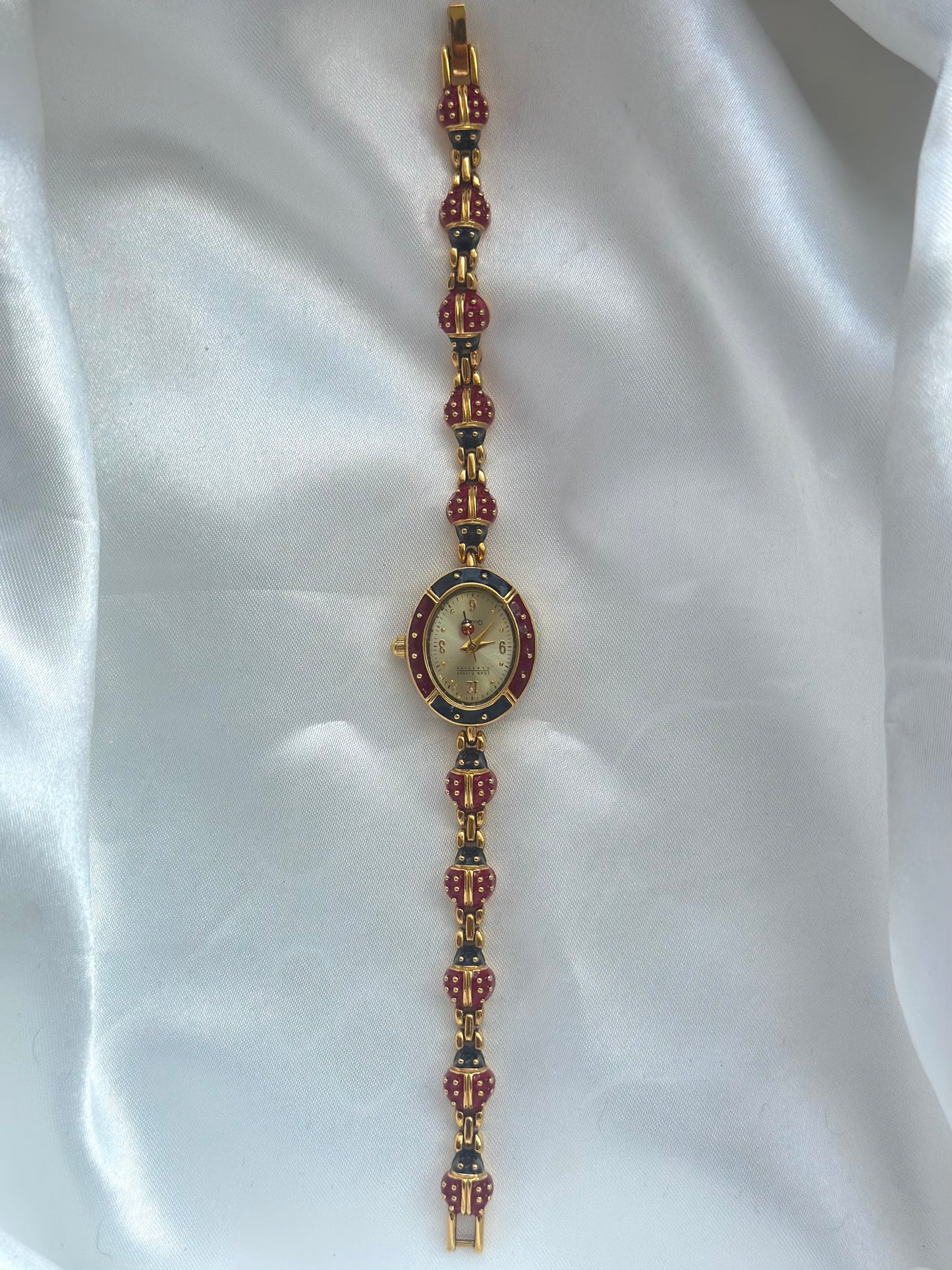 Rare Ladybug Watch