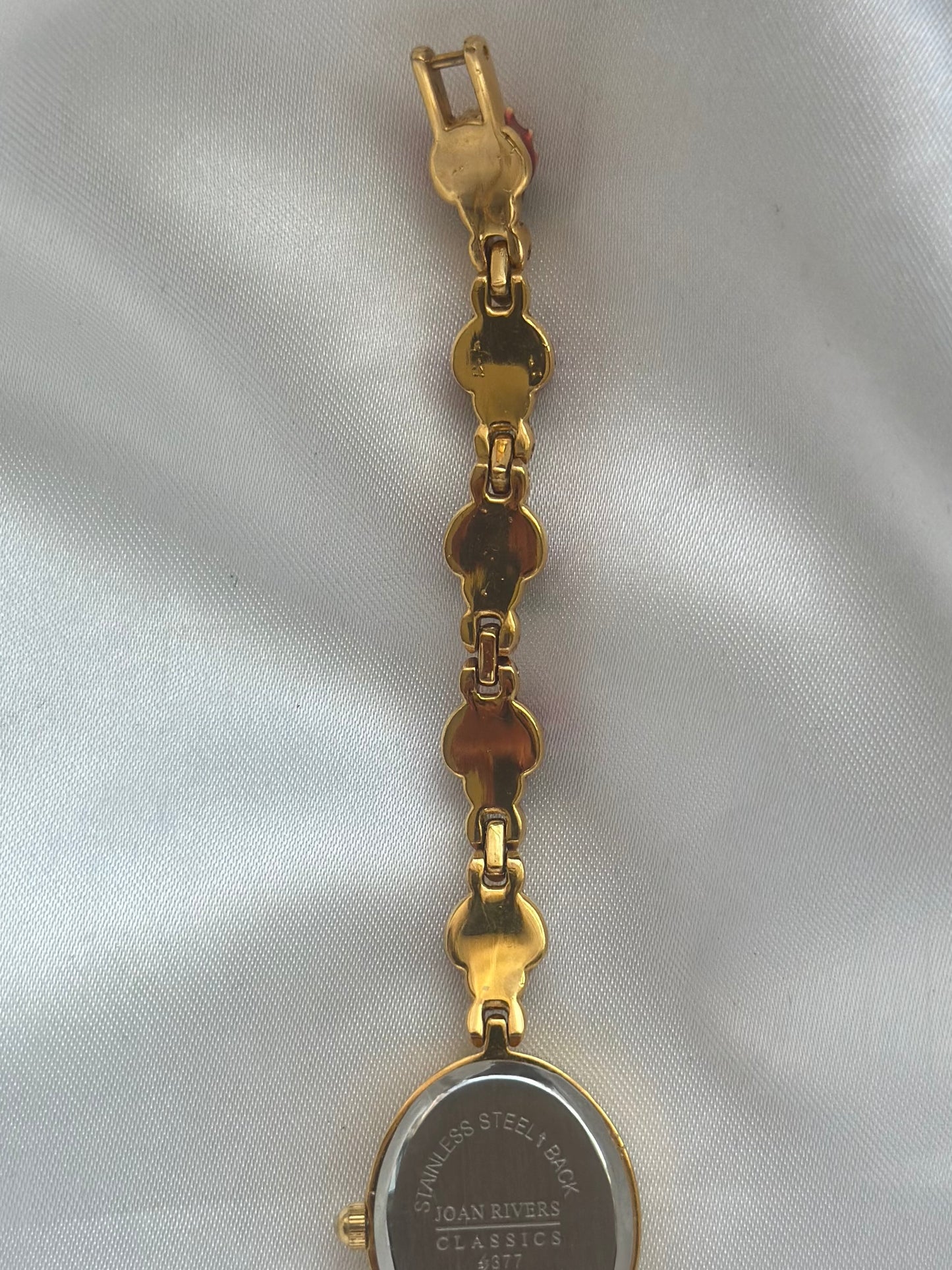 Rare Ladybug Watch